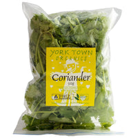 YORKTOWN CORIANDER 50G