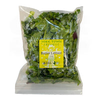 YORKTOWN BUTTER LETTUCE