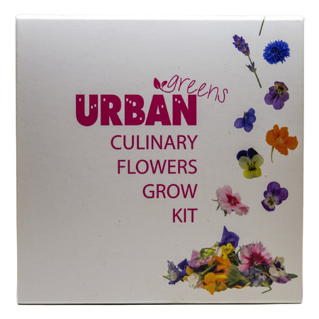 URBAN GREENS FLOWERS GROW KIT